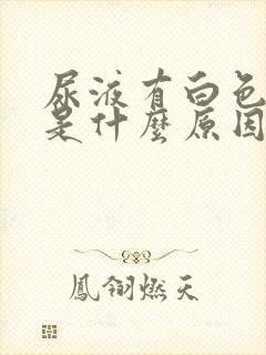 尿液有白色泡沫是什么原因