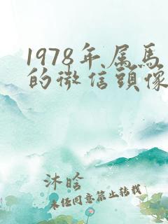 1978年属马的微信头像什么好