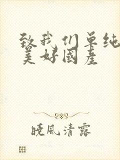 致我们单纯的小美好国产