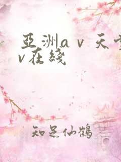 亚洲aⅴ天堂av在线