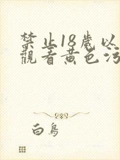 禁止18岁以下观看黄色污污视频网站