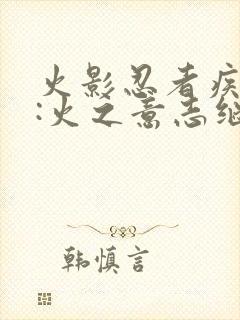 火影忍者疾风传:火之意志继承者