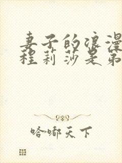 妻子的浪漫旅行程莉莎是第几季