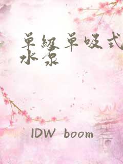 单级单吸式离心水泵