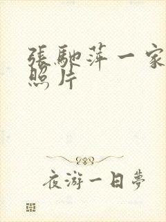 张驰萍一家三口照片