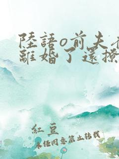 陆语o前夫夜袭离婚了还撩我全集阅读