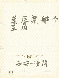 叶辰是那个小说主角