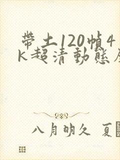 带土120帧4k超清动态壁纸