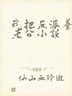 我把反派养成了老公小说