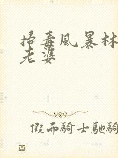 扫毒风暴林强峰老婆