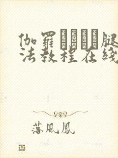 伽罗ちゃんが腿法教程在线观看