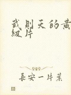 武则天的黄色一级片