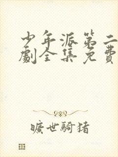 少年派第二电视剧全集免费