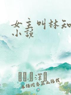 女主叫林知意的小说
