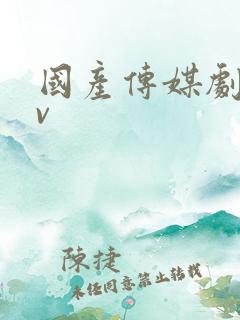 国产传媒剧情av