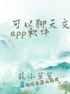 可以聊天交友的app软件