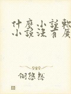 什么小说软件看小说没有广告