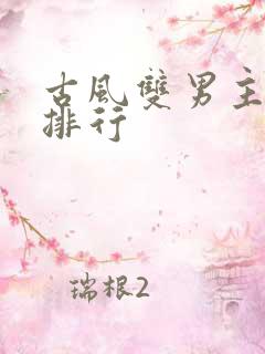 古风双男主小说排行