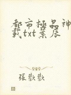 都市极品神医下载txt叶辰