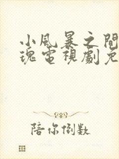 小风暴之间的玫瑰电视剧免费观看