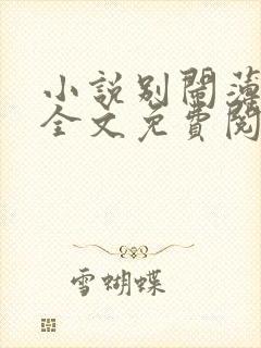 小说别闹薄先生全文免费阅读