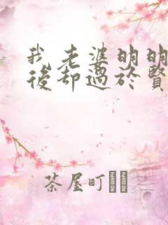 我老婆明明是天后却过于贤惠了小说免费