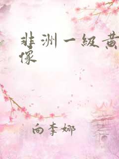 非洲一级黄色录像