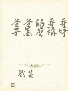 爸爸的哥哥的儿子怎么称呼