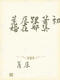 叶辰跟萧初然离婚在哪集