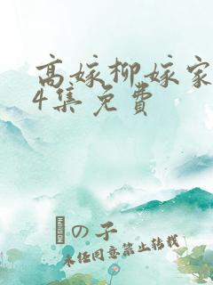 高嫁柳嫁家1到4集免费