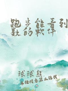 跑步能看到公里数的软件