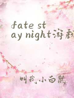fate stay night游戏文本