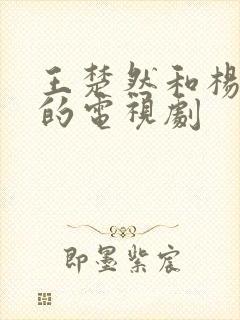 王楚然和杨洋演的电视剧