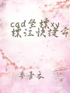 cad坐标xy标注快捷命令
