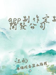 app制作定制开发公司