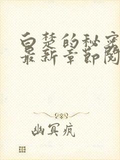 白楚的秘密小说最新章节阅读全文