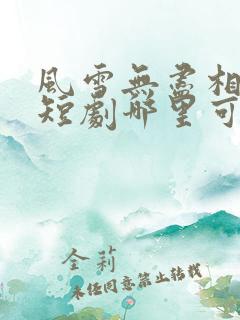 风雪无尽相思情短剧哪里可以看