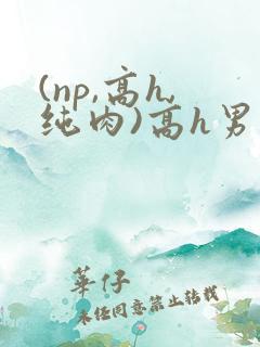 (np,高h,纯肉)高h男男