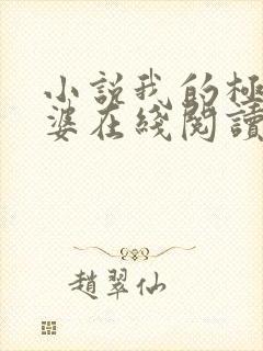 小说我的极品老婆在线阅读