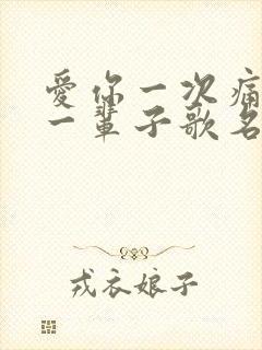 爱你一次痛了我一辈子歌名