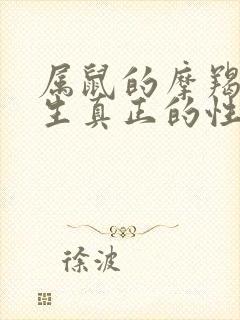 属鼠的摩羯座女生真正的性格