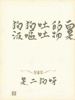 狗狗吐的白色粘液呕吐物是咋回事