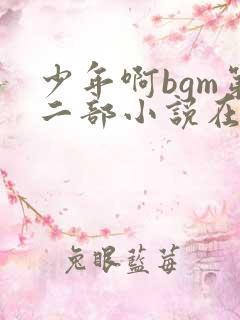 少年啊bgm第二部小说在线阅读