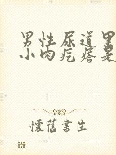 男性尿道里长个小肉疙瘩是怎么回事