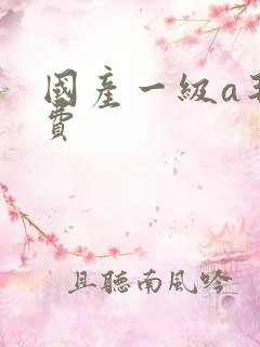 国产一级a毛免费