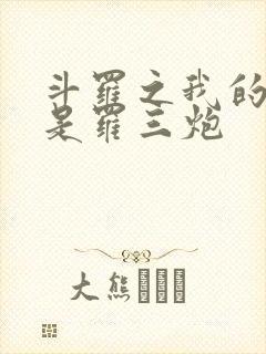 斗罗之我的武魂是罗三炮