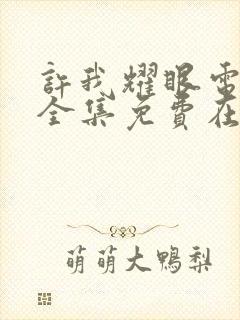 许我耀眼电视剧全集免费在线观看