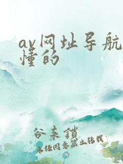 av网址导航你懂的