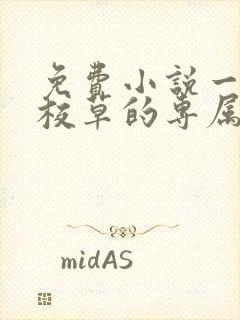 免费小说一冷酷校草的专属嚣张丫头