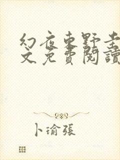 幻夜东野圭吾全文免费阅读txt下载